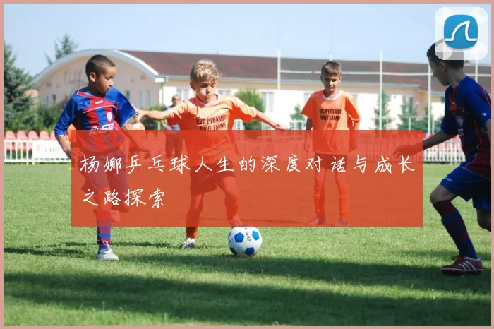 杨娜乒乓球人生的深度对话与成长之路探索