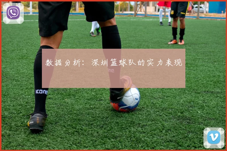 数据分析：深圳篮球队的实力表现
